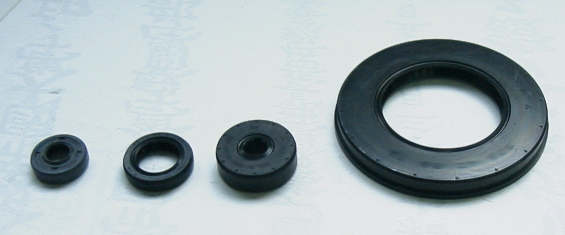 TourMax Engine Oil Seal Kit Honda VFR800Fi 98-01 (4 Seals)