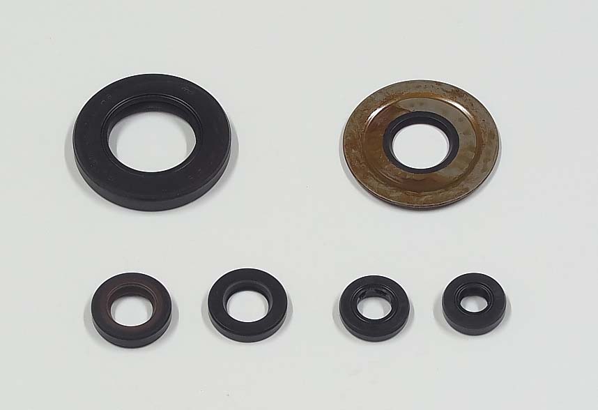 TourMax Engine Oil Seal Kit Yamaha XV1000 82 (6 Seals)