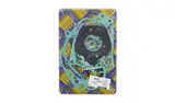 Centauro Full Gasket Set Honda CR125RB 1981
